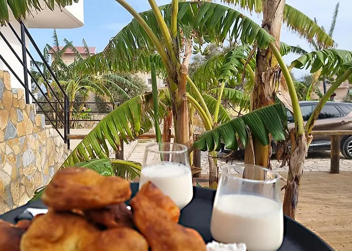 Nocleg ze śniadaniem Kel 3*